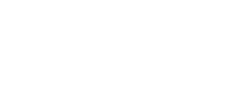 Wild Forward Logo